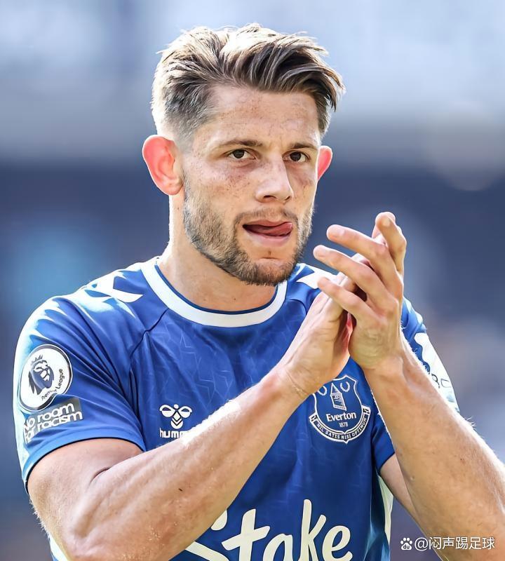 伯恩茅斯主场告负，球迷失望的简单介绍