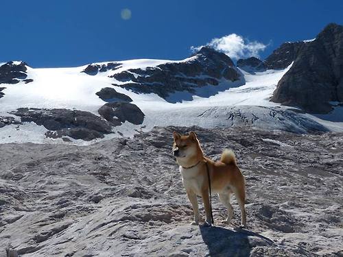 雷火电竞合作-最后的审判，利拉德戴表时刻，步行者从热火灰烬中走出
