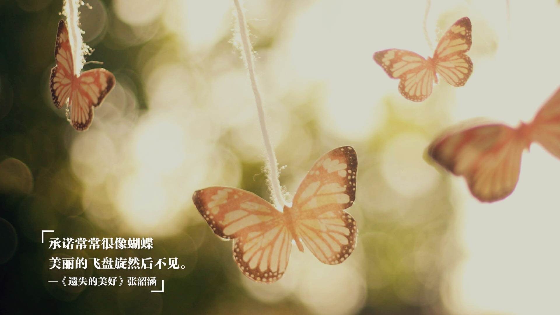 跨界烽火，当东北虎撞上南海岸，爱德华兹的暴雨梨花枪