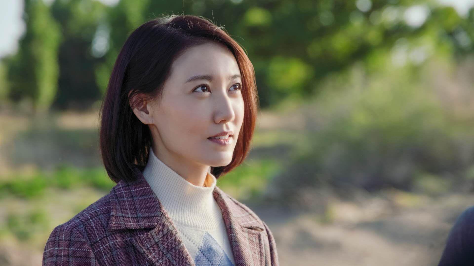 铁幕与孤星,2026世界杯四分之一决赛,塞尔维亚碾压伊朗,库尔图瓦筑起不败神话