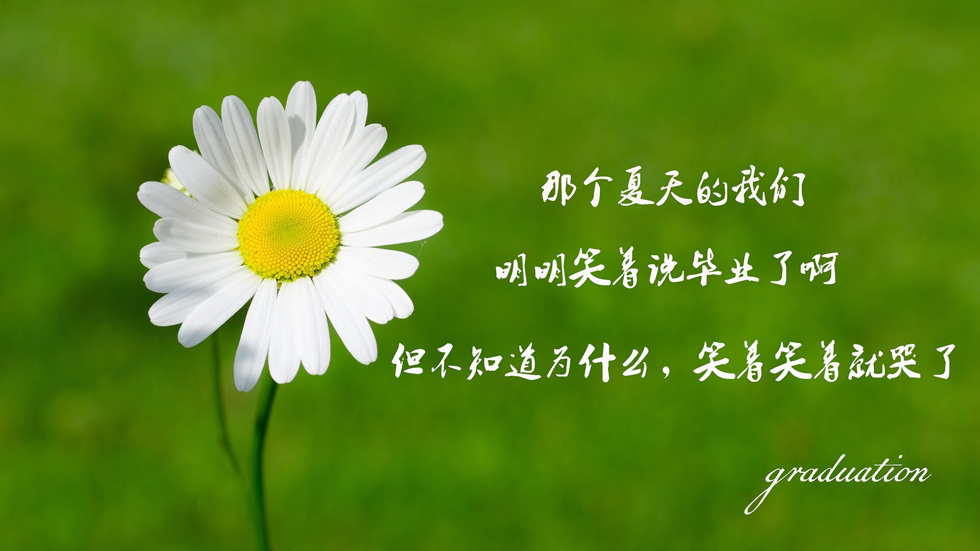 赤道之焰，2026世界杯小组赛，厄瓜多尔绝境突袭突尼斯，维尼修斯孤星耀世