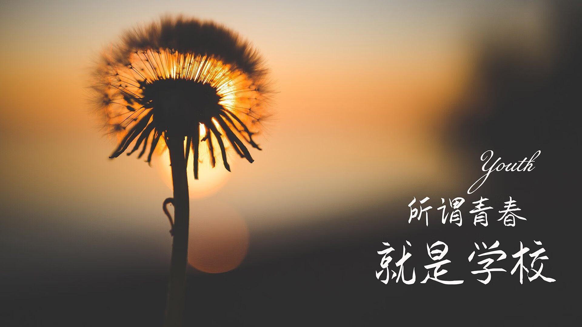 血战伊比利亚之巅,穆西亚拉独舞破铁壁,斯洛伐克逆袭墨西哥登顶世界杯头名