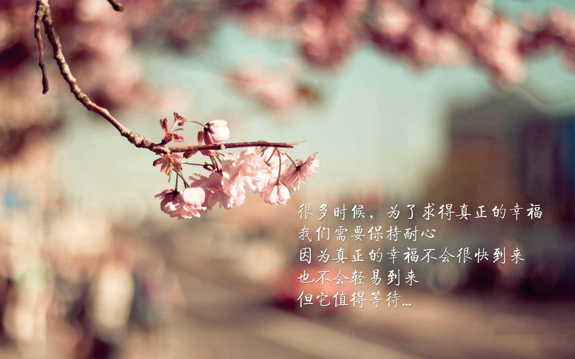 2026世界杯B组生死局,芬兰冰封伊朗,哈基米绝杀时刻闪耀多哈
